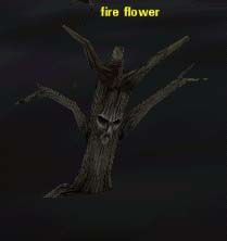 Picture of Fire Flower